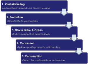 Anatomy of a Viral Marketing Campaign